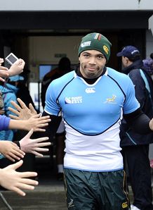 bryan habana bryan habana