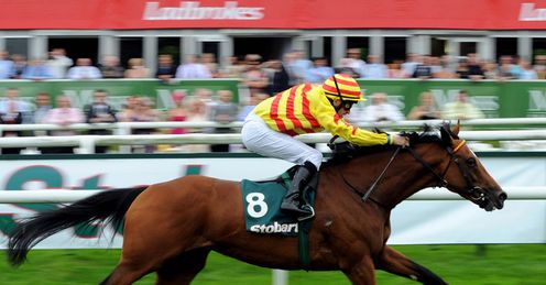 Saddlers Rock Doncaster Cup