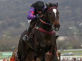 Champion Court (IRE)