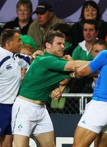 Ireland v Italy Gordon DArcy and Gonzalo Canale clash Ireland v Italy Gordon DArcy and Gonzalo Canale clash