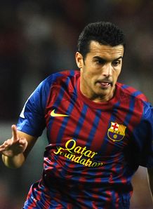 Picture of  Pedro