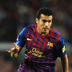 Pedro