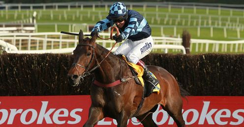 Captain Chris: Gold Cup chance, says Alex