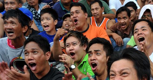 Fan fervour: Nietes should get the same support as Pacquiao, says Wayne