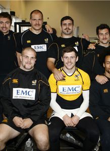 Wasps Movember