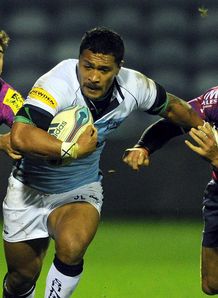 Johnny Leota sale sharks Johnny Leota sale sharks
