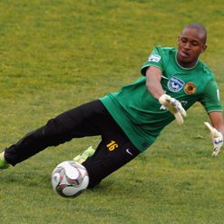Ngobeni: Signs for Brazilians