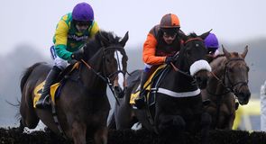 King George preview