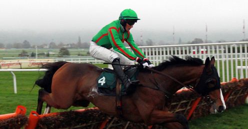 Decoy Cheltenham