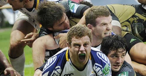 Montpellier: took Leinster all the way