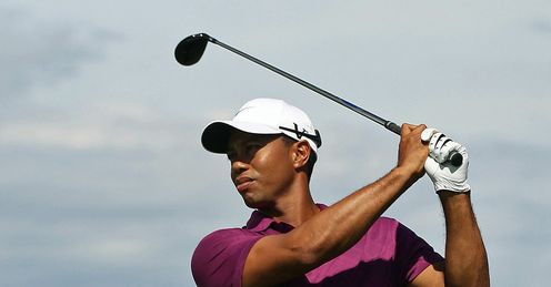 Tiger in Sydney