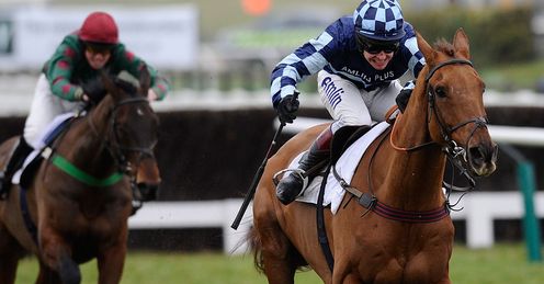 Wishfull Thinking: Good bet for the Victor Chandler Chase