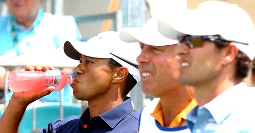 Woods, Williams and Scott during their foursomes