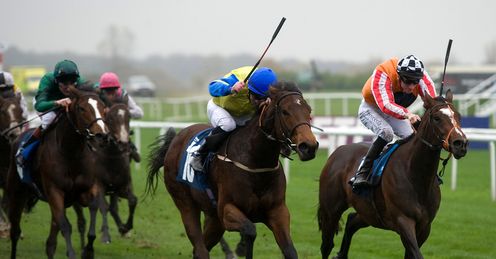 Tartiflette: will need things to drop right to win the Victoria Cup, says Alex
