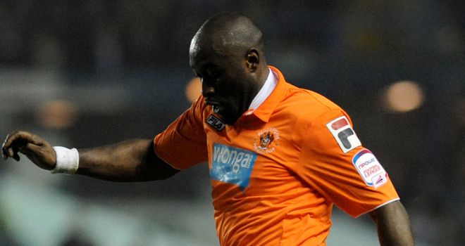 lualua_2682690.jpg