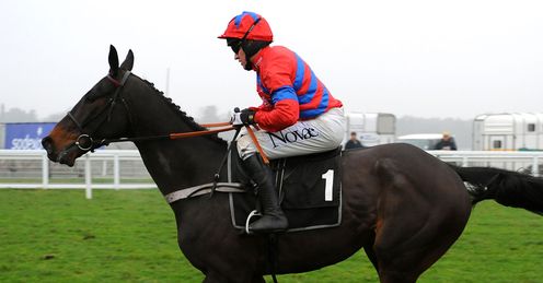 Sprinter Sacre: An old fashioned chaser!