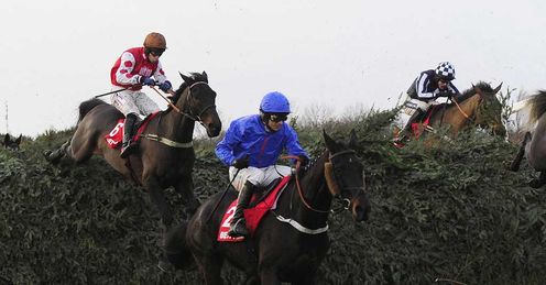 Rare Bob can challenge for the big prize, says Alex
