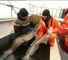 Best of 2011 - Sea fishing in Shetland