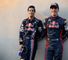 Toro Rosso's Newbies