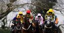 Plumpton called off