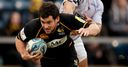 European bonus for Wasps