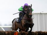 Carrigmorna King (IRE)