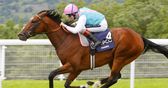 The Lockinge & Yorkshire Cup previews