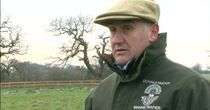 Donald McCain Stable Stars