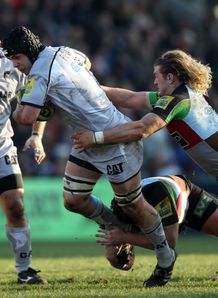 Tigers keep Cup hopes alive