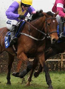 So Young got the better of his stablemate Zaidpour in the Red Mills Trial Hurdle at Gowran
