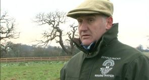 Donald McCain Stable Stars