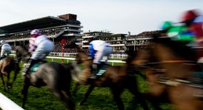 Cheltenham Trials Day