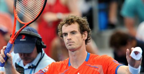 Andy Murray: Through to the semi-finals in Brisbane