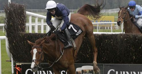  Apt Approach falling at Punchestown in May