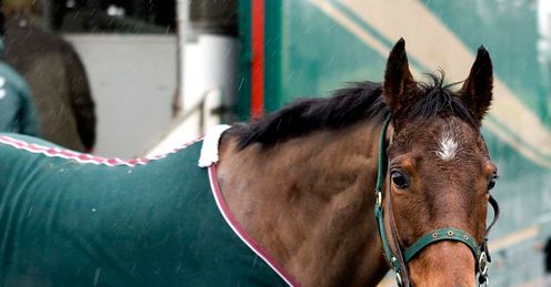 Irish Champion Hurdle Day
