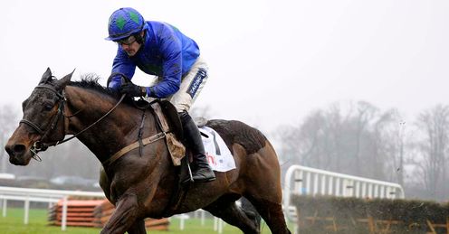 Hurricane Fly: expected to be a contender at the Cheltenham Festival