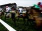 The action from Trials Day at Cheltenham gets underway.