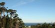 Pebble Beach