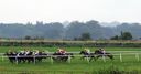 Catterick called off