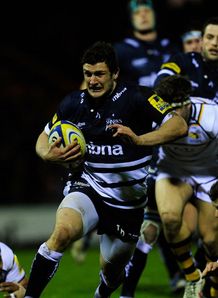 sale sharks Tom Brady