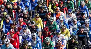 Spot the Team Sky riders! The peloton were huddled together on the opening Trofeo Palma on the coast