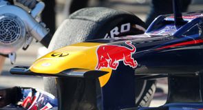 The RB8 in detail