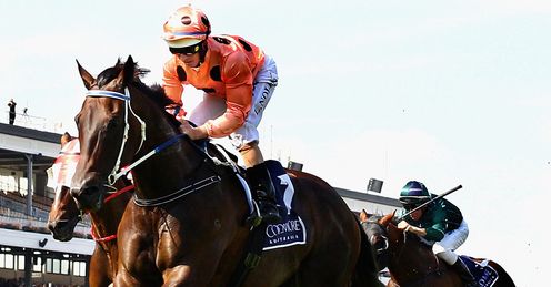 Black Caviar: Arrives at Ascot with high expectations