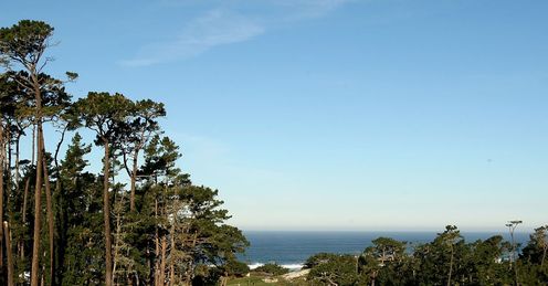 Pebble Beach