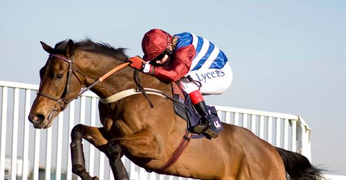 Grumeti: looking good for Cheltenham tilt