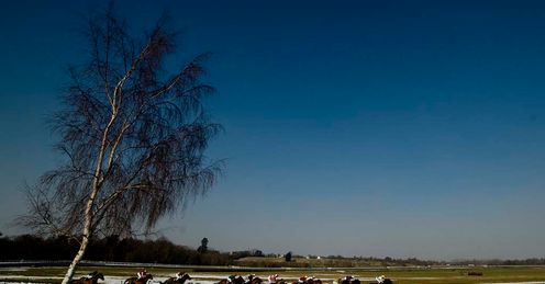 Lingfield Saturday Action