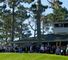 Here's Tiger Woods, teeing off on the first hole in front of a packed gallery.