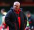 Maturity delights Gatland 