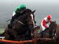 Cheltenham Preview - Feb 2