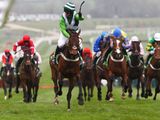 Rock On Ruby (IRE)